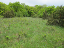 Pelouse calcaire. Auteur : Guillaume Doucet - CENB