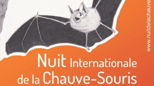 20210917_affiche_nuit_internationale_de_la_chauve-souris_bouilland_page-0001.jpg